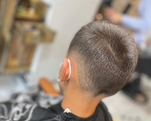 WhatsApp Image 2025-12-10 at 12.01.21